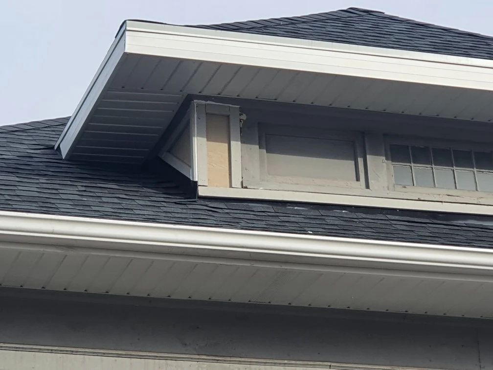 Shingles and roofline on a residential home